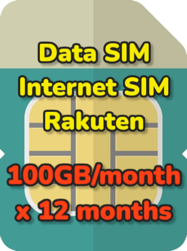 100GB/month*12months Data SIM