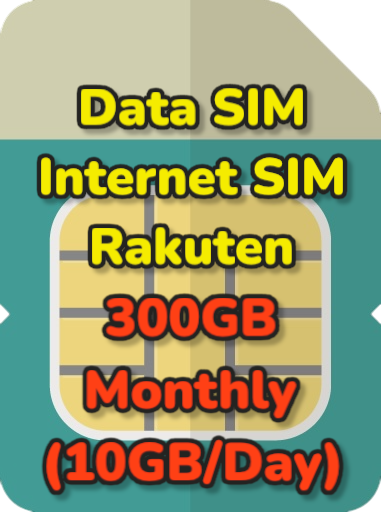 300GB/month (10GB/day) plan Data SIM