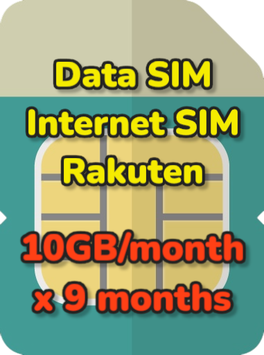 10GB/month*9months Data SIM