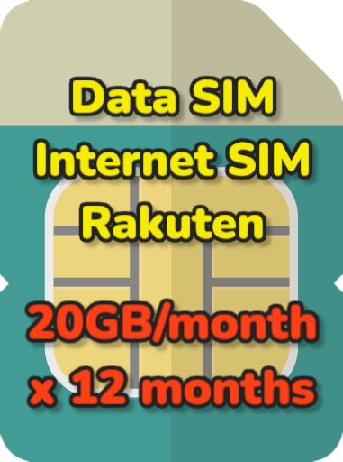 20GB/month*12months Data SIM