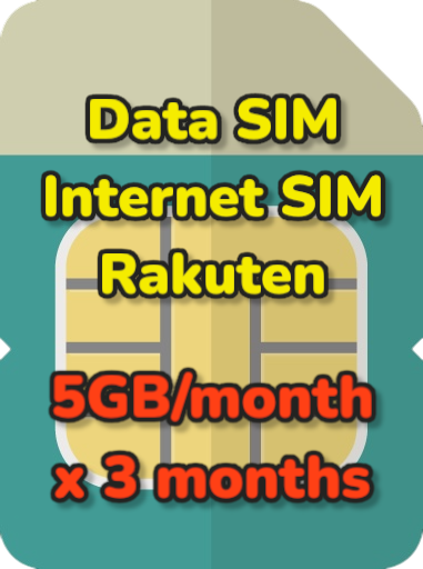 5GB/month*3months Data SIM